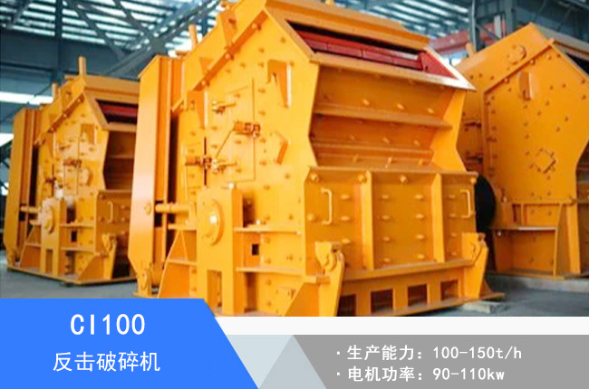 CI100��ڏ���������C