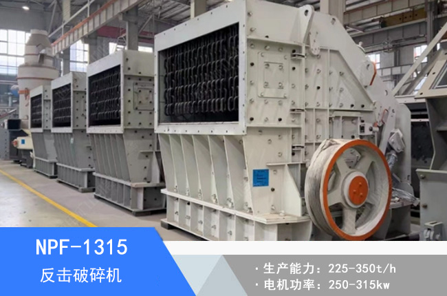 NPF-1315�W�淴������C(j��)