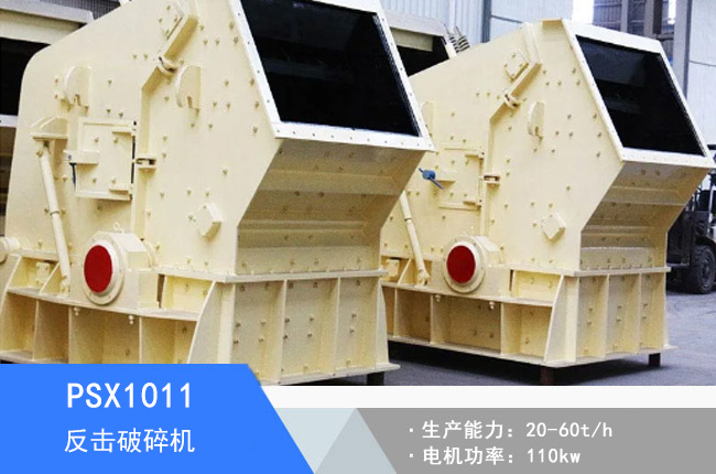 PSX1011��(x��)�鷴������C(j��)