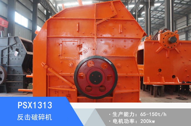 PSX1313��(x��)�鷴������C(j��)