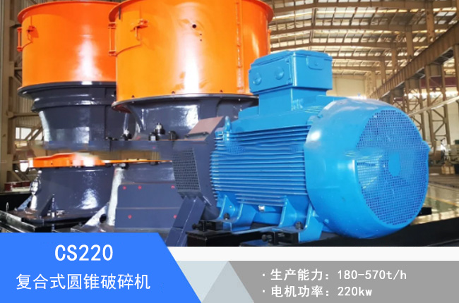 CS220��(f��)��ʽ�A�F����C(j��)