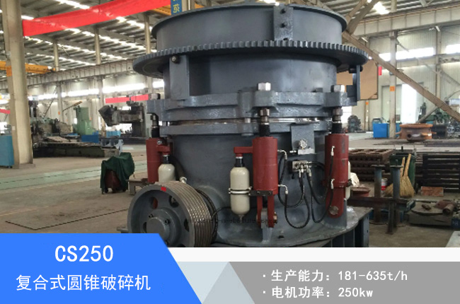 CS250��(f��)��ʽ�A�F����C(j��)