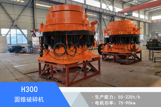 H300�A�F����C(j��)