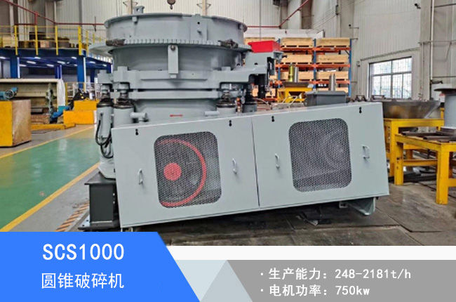 SCS1000�A�F����C